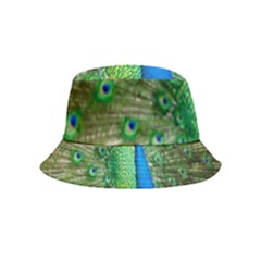 Peafowl Peacock Bucket Hat (kids) by Sarkoni