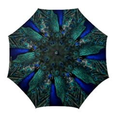 Blue And Green Peacock Golf Umbrellas by Sarkoni