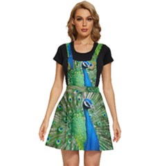 Peafowl Peacock Apron Dress by Sarkoni