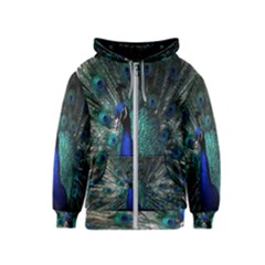 Blue And Green Peacock Kids  Zipper Hoodie by Sarkoni