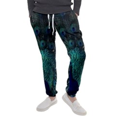 Blue And Green Peacock Men s Jogger Sweatpants by Sarkoni