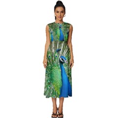 Peafowl Peacock Sleeveless Round Neck Midi Dress