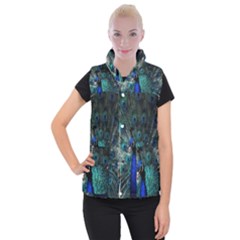 Blue And Green Peacock Women s Button Up Vest by Sarkoni