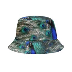 Blue And Green Peacock Bucket Hat by Sarkoni