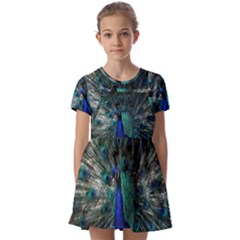 Blue And Green Peacock Kids  Short Sleeve Pinafore Style Dress by Sarkoni