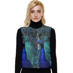 Blue And Green Peacock Women s Button Up Puffer Vest by Sarkoni