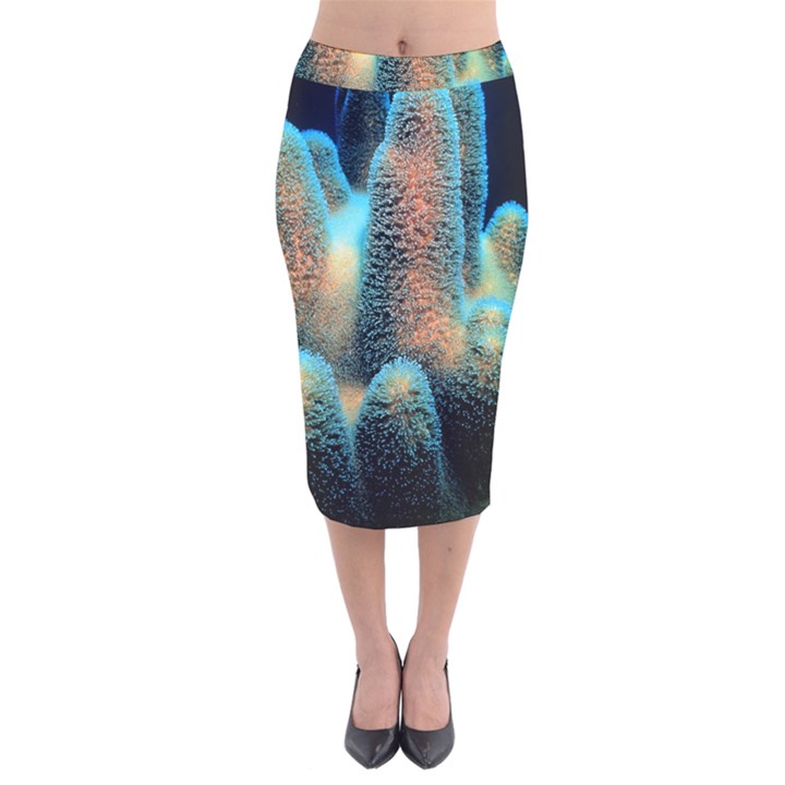 Photo Coral Great Scleractinia Velvet Midi Pencil Skirt