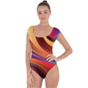 Abstract Colorful Background Wavy Short Sleeve Leotard  View1