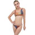 Blue White Orange And Brown Container Van The Little Details Bikini Set View1