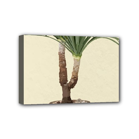 Tree Vector Art In A Flower Pot Mini Canvas 6  X 4  (stretched) by Sarkoni