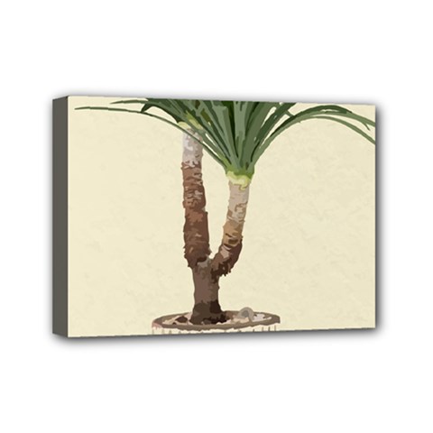 Tree Vector Art In A Flower Pot Mini Canvas 7  X 5  (stretched) by Sarkoni