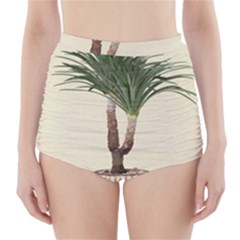 Tree Vector Art In A Flower Pot High-waisted Bikini Bottoms by Sarkoni