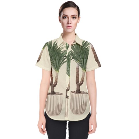 Tree Vector Art In A Flower Pot Women s Short Sleeve Shirt by Sarkoni