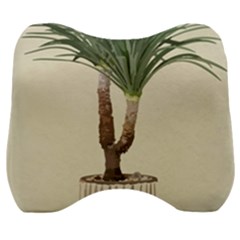 Tree Vector Art In A Flower Pot Velour Head Support Cushion by Sarkoni