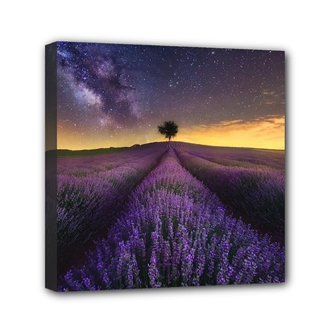 Bed Of Purple Petaled Flowers Photography Landscape Nature Mini Canvas 6  X 6  (stretched) by Sarkoni