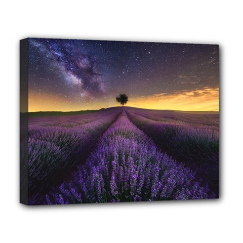 Bed Of Purple Petaled Flowers Photography Landscape Nature Deluxe Canvas 20  X 16  (stretched) by Sarkoni