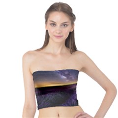 Bed Of Purple Petaled Flowers Photography Landscape Nature Tube Top by Sarkoni