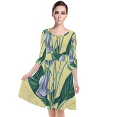 Botanical Plants Green Quarter Sleeve Waist Band Dress by Sarkoni