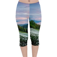 Field Of White Petaled Flowers Nature Landscape Velvet Capri Leggings  by Sarkoni