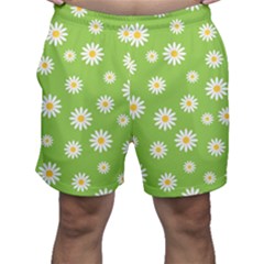 Daisy Flowers Floral Wallpaper Men s Shorts