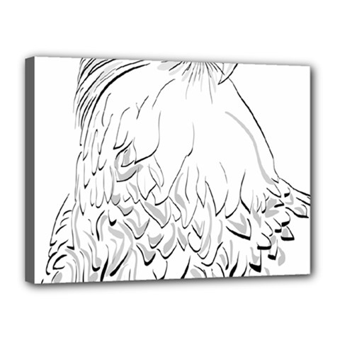 Eagle Birds Of Prey Raptor Canvas 16  X 12  (stretched) by Modalart