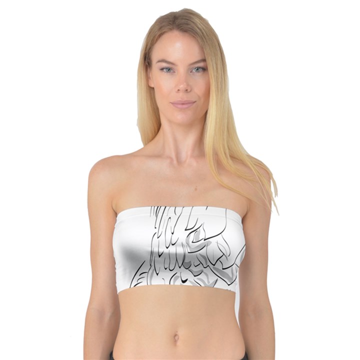 Eagle Birds Of Prey Raptor Bandeau Top