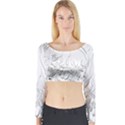 Eagle Birds Of Prey Raptor Long Sleeve Crop Top View1