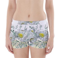 Thistle Alpine Flower Flower Plant Boyleg Bikini Wrap Bottoms by Modalart