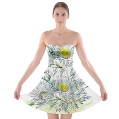 Thistle Alpine Flower Flower Plant Strapless Bra Top Dress