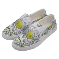 Thistle Alpine Flower Flower Plant Men s Canvas Slip Ons by Modalart