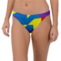 Colorful Red Yellow Blue Purple Band Bikini Bottoms View1