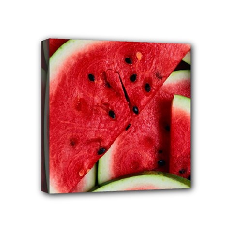 Watermelon Fruit Green Red Mini Canvas 4  X 4  (stretched) by Bedest