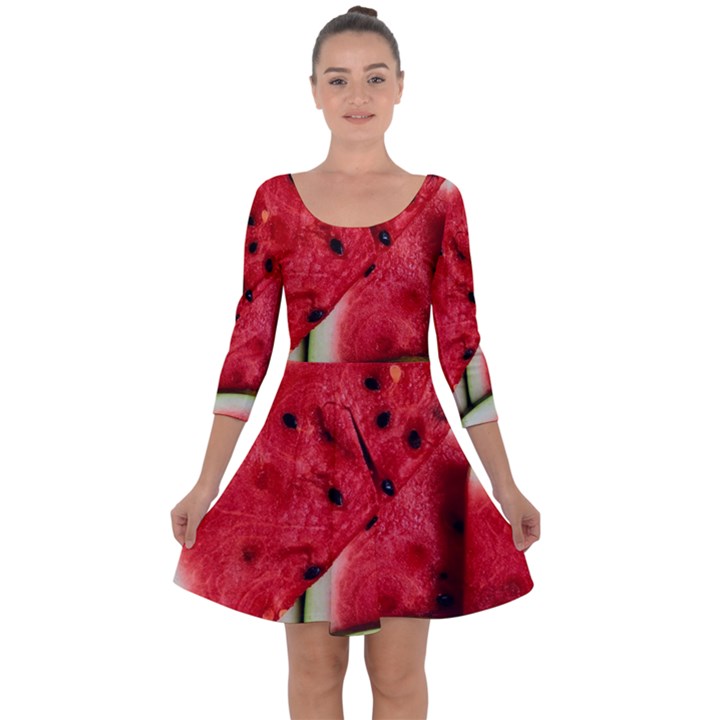 Watermelon Fruit Green Red Quarter Sleeve Skater Dress