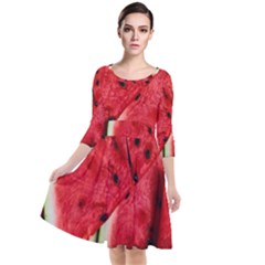 Watermelon Fruit Green Red Quarter Sleeve Waist Band Dress by Bedest