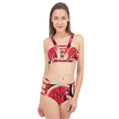 Watermelon Fruit Green Red Cage Up Bikini Set by Bedest