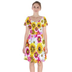 Flowers Blossom Bloom Nature Plant Short Sleeve Bardot Dress by Amaryn4rt