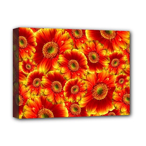 Gerbera Flowers Blossom Bloom Deluxe Canvas 16  X 12  (stretched)  by Amaryn4rt