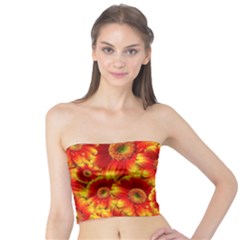 Gerbera Flowers Blossom Bloom Tube Top by Amaryn4rt