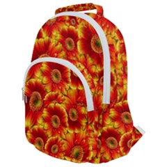 Gerbera Flowers Blossom Bloom Rounded Multi Pocket Backpack by Amaryn4rt