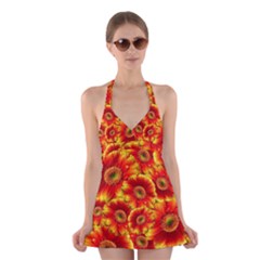 Gerbera Flowers Blossom Bloom Halter Dress Swimsuit  by Amaryn4rt