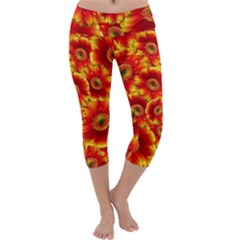 Gerbera Flowers Blossom Bloom Capri Yoga Leggings by Amaryn4rt