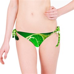 Kiwi Fruit Vitamins Healthy Cut Bikini Bottoms by Amaryn4rt