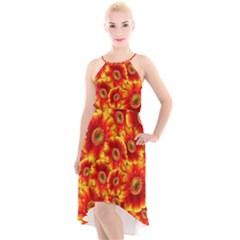 Gerbera Flowers Blossom Bloom High-low Halter Chiffon Dress  by Amaryn4rt