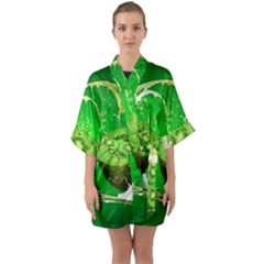 Kiwi Fruit Vitamins Healthy Cut Half Sleeve Satin Kimono  by Amaryn4rt