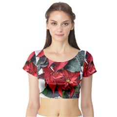 Star Of Bethlehem Star Red Short Sleeve Crop Top by Amaryn4rt