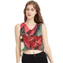 Star Of Bethlehem Star Red V-Neck Cropped Tank Top View1