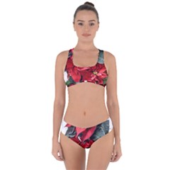 Star Of Bethlehem Star Red Criss Cross Bikini Set by Amaryn4rt