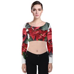 Star Of Bethlehem Star Red Velvet Long Sleeve Crop Top by Amaryn4rt