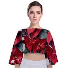 Star Of Bethlehem Star Red Tie Back Butterfly Sleeve Chiffon Top by Amaryn4rt