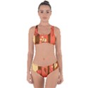 Amber Yellow Stripes Leaves Floral Criss Cross Bikini Set View1